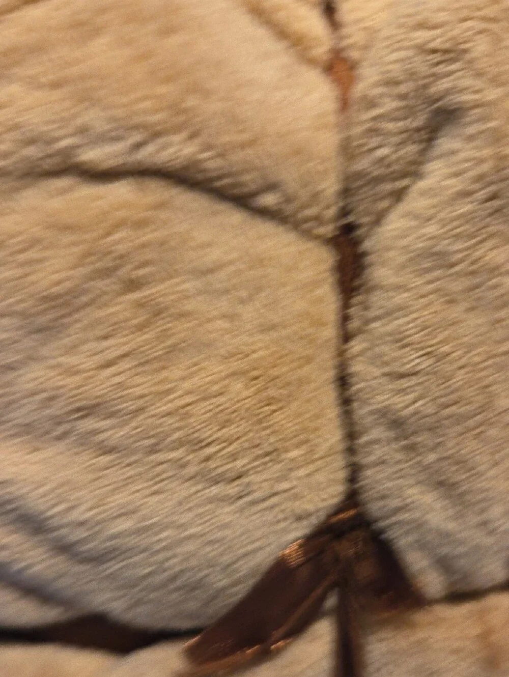 Louis Vuitton Embroidered Tan Plush Towel Set